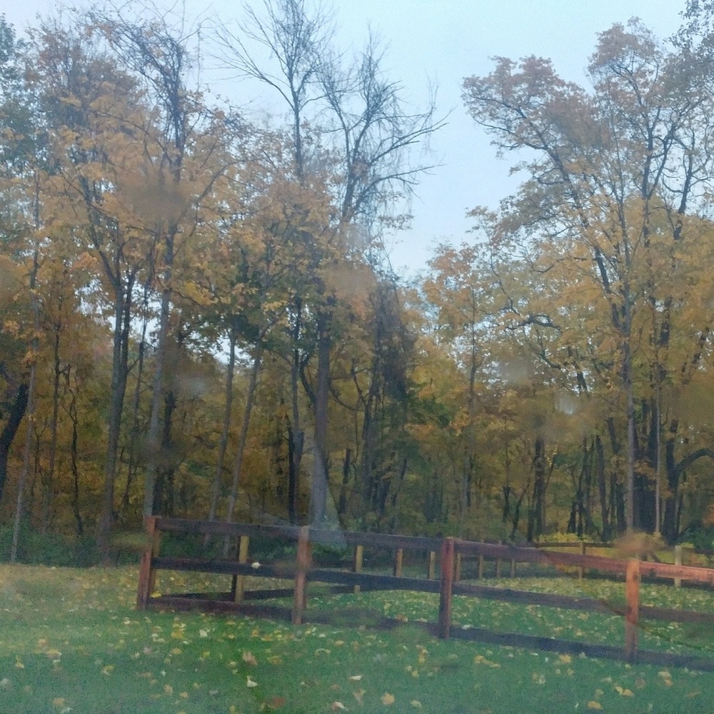 Meet your Posher, Marie